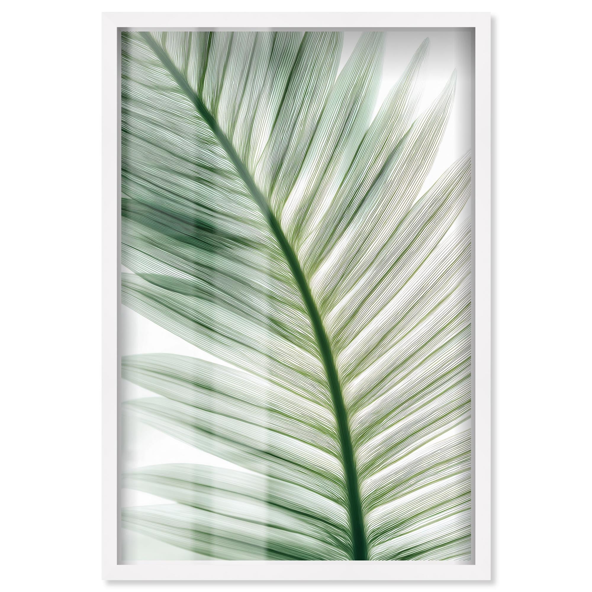 Forest Filigree I Coastal Wall Art Shadowbox Print by Art Remedy