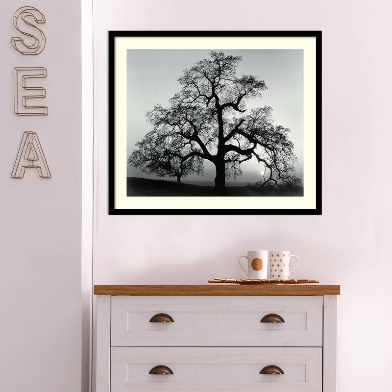 Framed Art Print 'Oak Tree, Sunset City, California, 1962' by Ansel Adams 27 x 23-inch