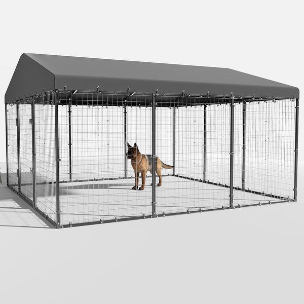 Outside dog enclosure outlet