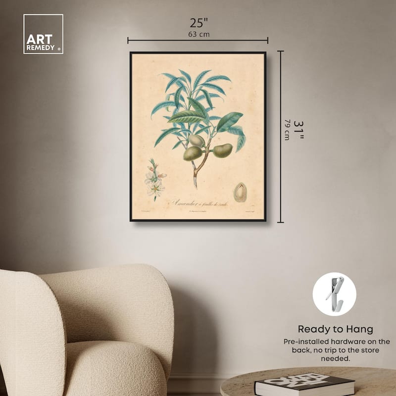 Almond of Georgia II Canvas by Art Remedy