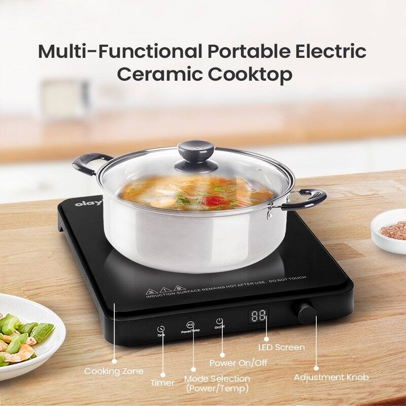 Black Portable Electric Induction Cooktop with Sensor Touch, 9-Level Adjustment, Timer, and LED Display, 1500W