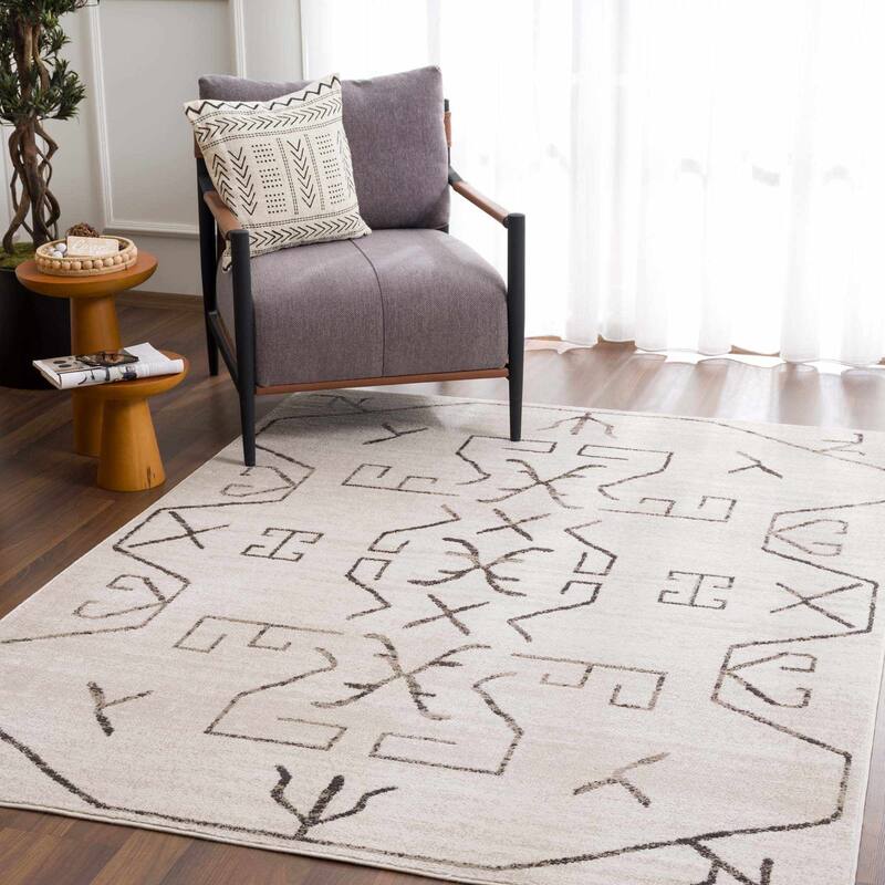 Pertek Bohemian Farmhouse Traditional Area Rug