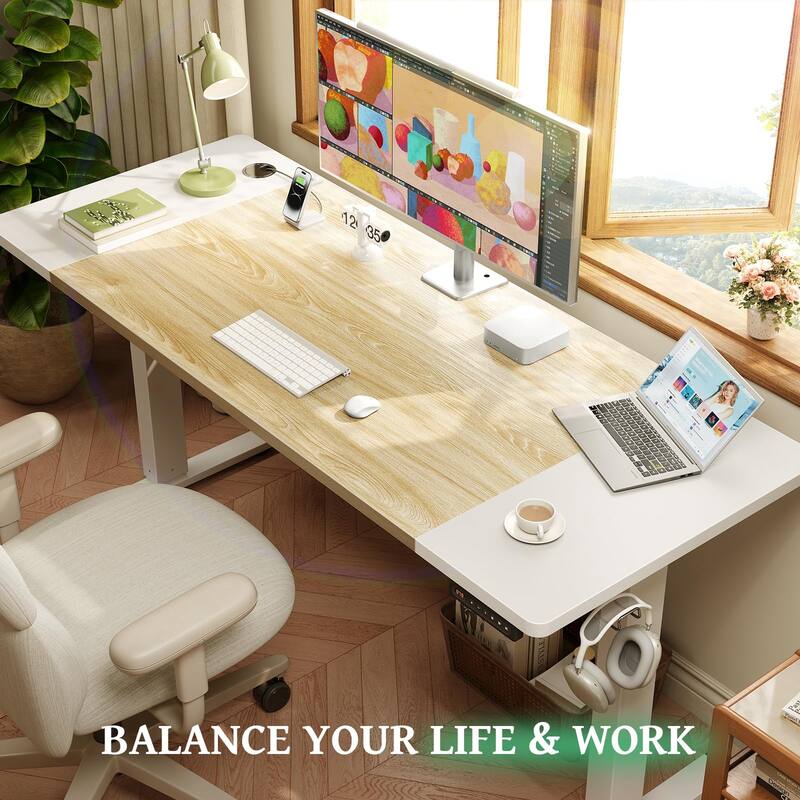 SIAGO 48 x 24 Inch Computer Desk Height Adjustable Electric Sit Stand Up Desk