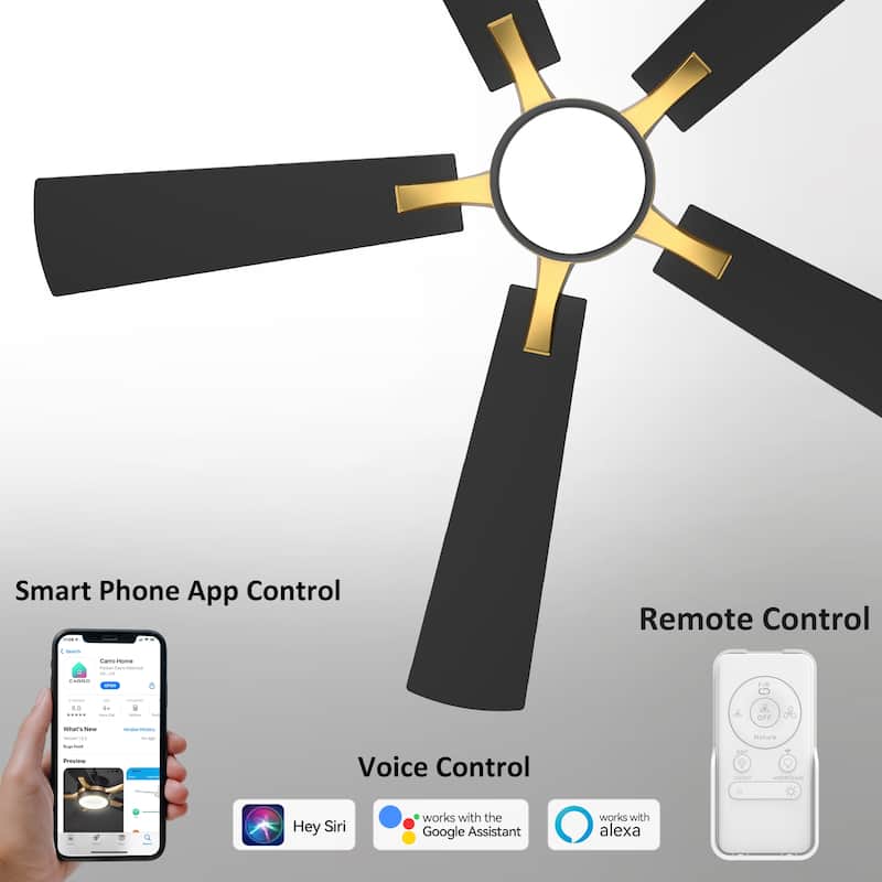 CARRO Elliott 52" Smart Ceiling Fan with Light and Remote-Downrod