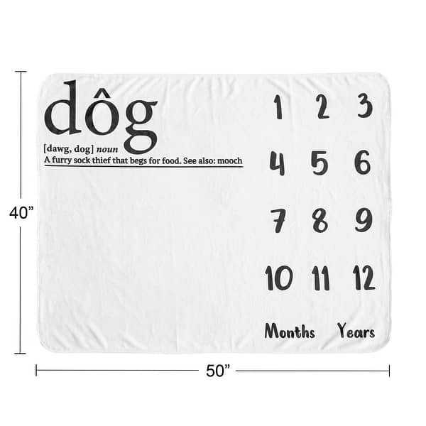 Sweet Jojo Designs Black White Doggy Dog Birthday Puppy Milestone