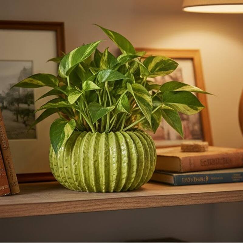 Decorative Planter, Melon Shape, Vertical Ribbed Texture, Green Ceramic