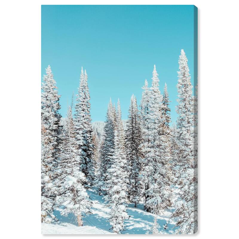 Wynwood Studio Canvas Floral and Botanical Snowy Pine Trees White and Modern & Contemporary Wall Art Canvas Print
