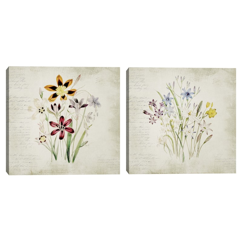 Wild Flowers 1 & 3by M Duggar Cnvs Art