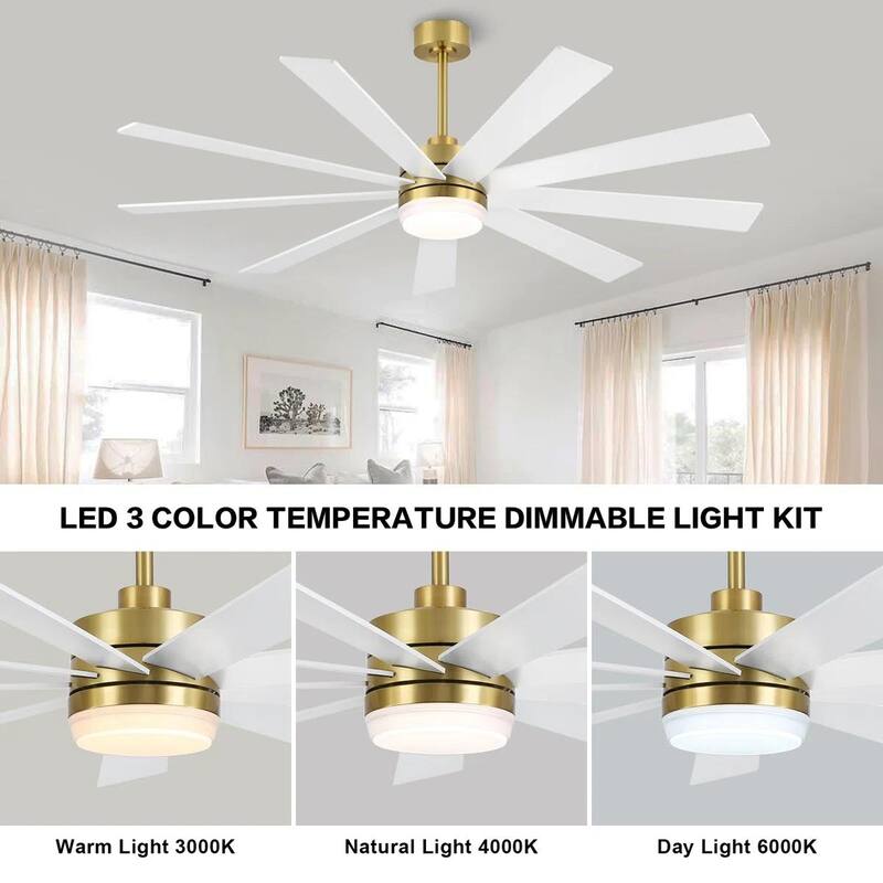 MLiAN DC Motor Indoor Ceiling Fan with Light and Remote