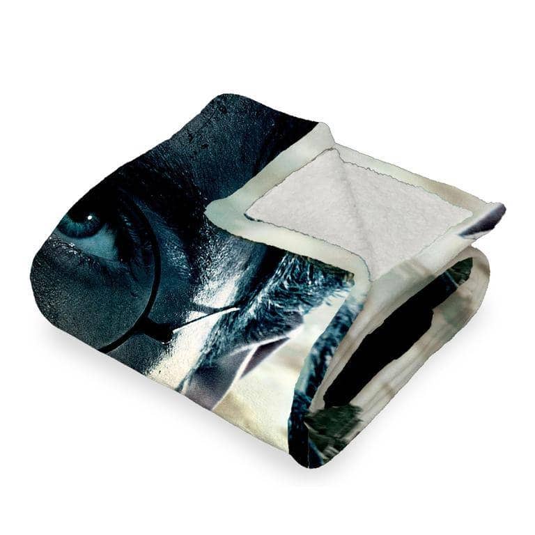 Warner Brothers Harry Potter Silk Touch Sherpa Throw Blanket