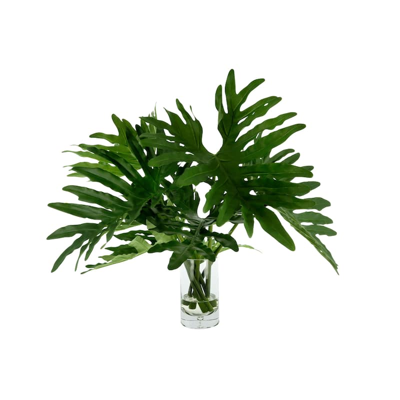 Organic Modern Philodendron Arranged in Glass Vase - Green