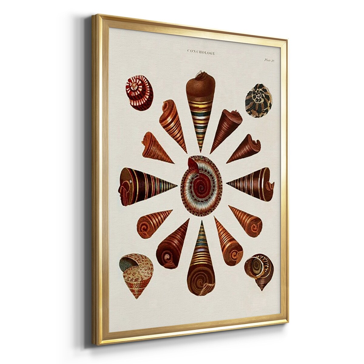 product-thumb