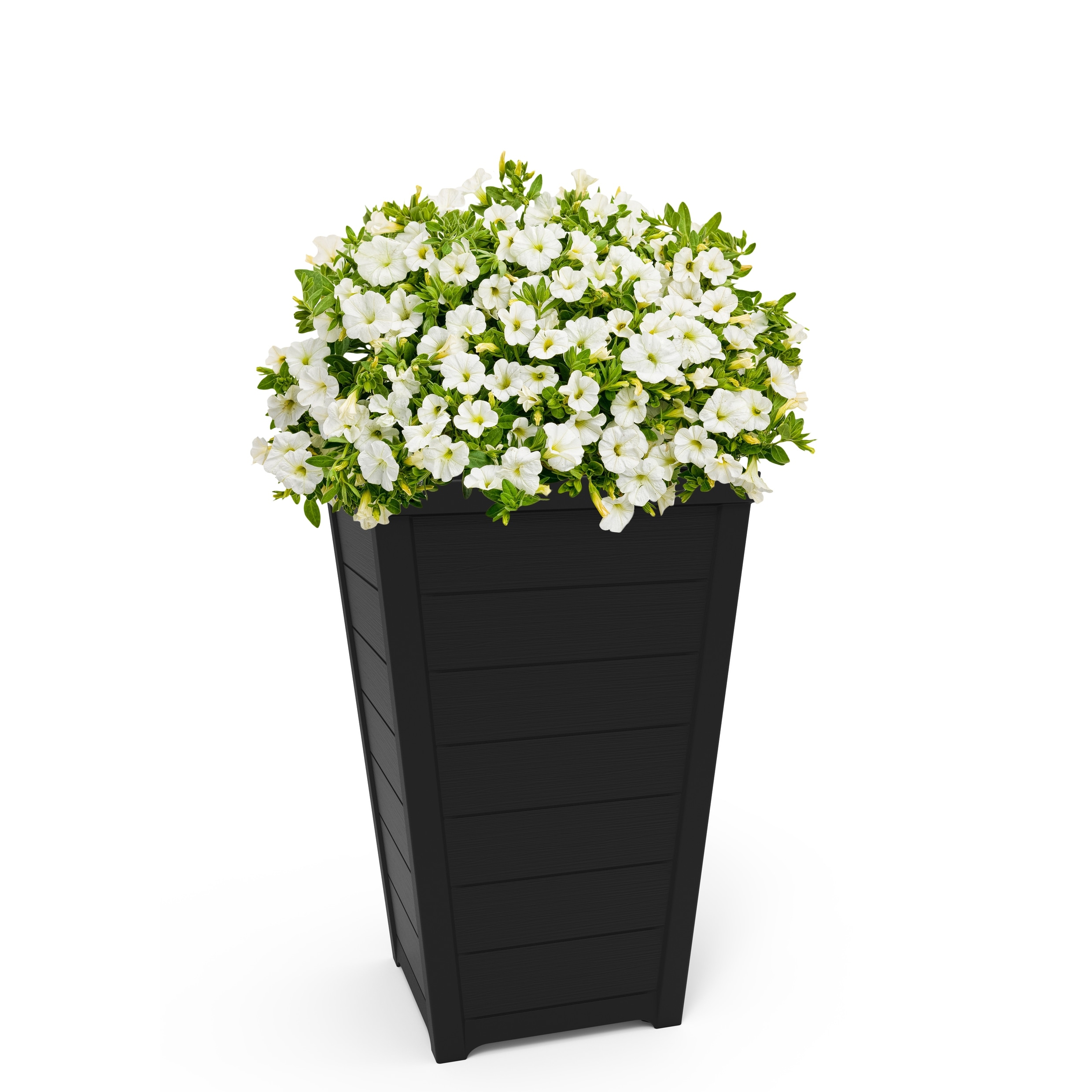 Keter Set of 2 Resin Modern Outdoor 22 Inch Tall Large