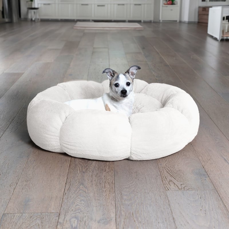 Sherry Kline Pets Daisy Round Donut Shape Calming Bed for Dogs and Cats
