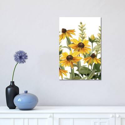 iCanvas "Summer Susans" by House Fenway Canvas Print