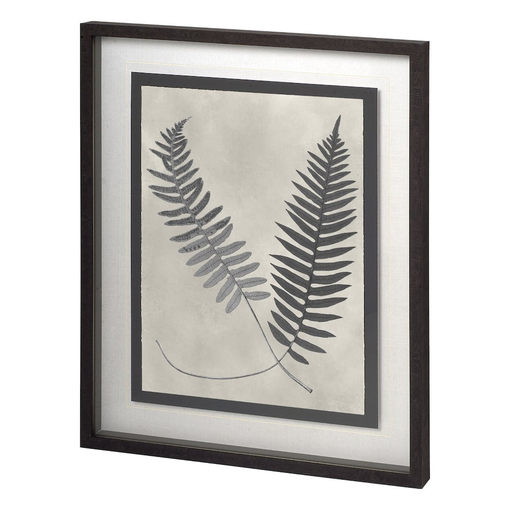 Vintage Fern Study III Framed Art Print
