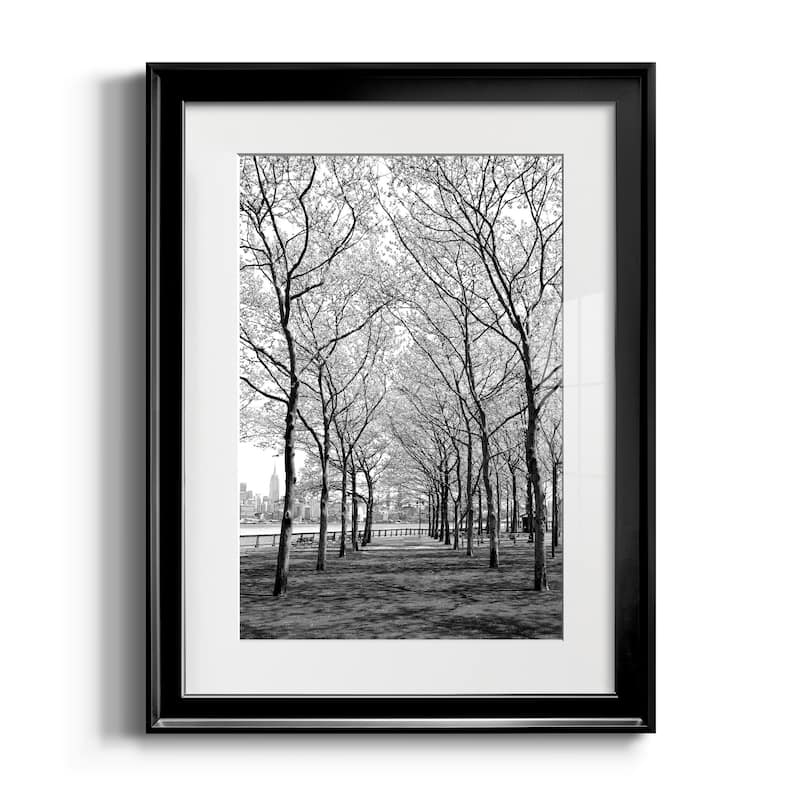 Pier a Park Premium Framed Print - Ready to Hang