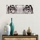 preview thumbnail 3 of 1, iCanvas "White Tiger Eyes" by Rachel Stribbling 3-Piece Canvas Wall Art Set 12x36x0.75
