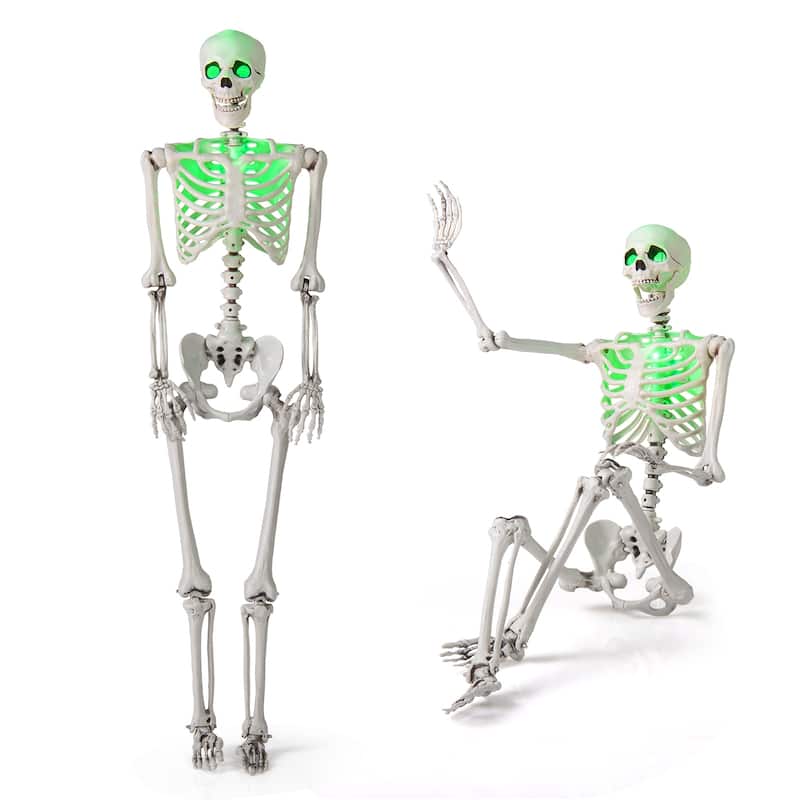 5.5 FT Halloween Skeleton Life-Size Poseable Skeleton w/ Movable Joints - White