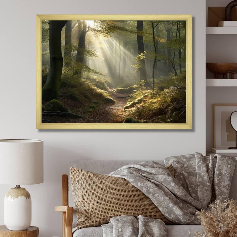 Designart "Light Streams Through Forest Iii" Landscape Forest Framed Canvas Art Print - 40 in. wide x 30 in. high - Gold