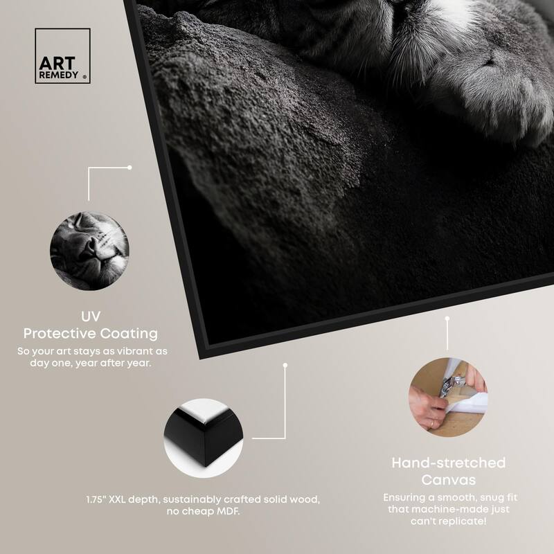 Resting Predator Canvas by Art Remedy
