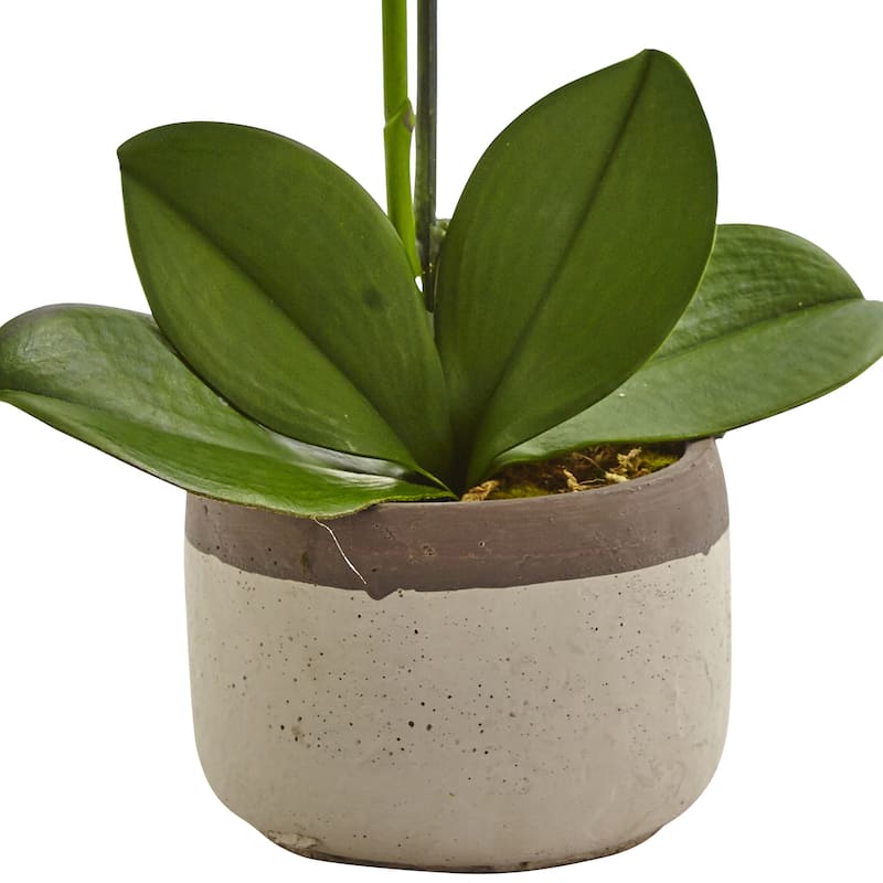19" Phalaenopsis Orchid Artificial Floral Arrangement in Ceramic Pot