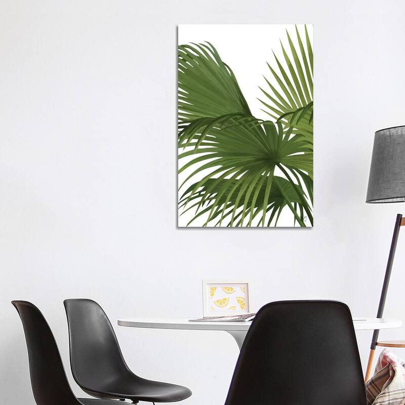 iCanvas "Another Fan Palm II" by Fab Funky Canvas Print - 40x26x1.5