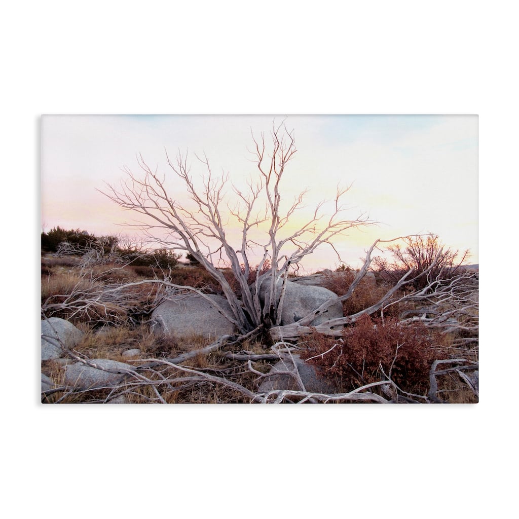 Stupell Rocky Foothills Terrain Canvas Wall Art Design By Gemma Bardot