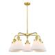Option Satin Gold / Matte White