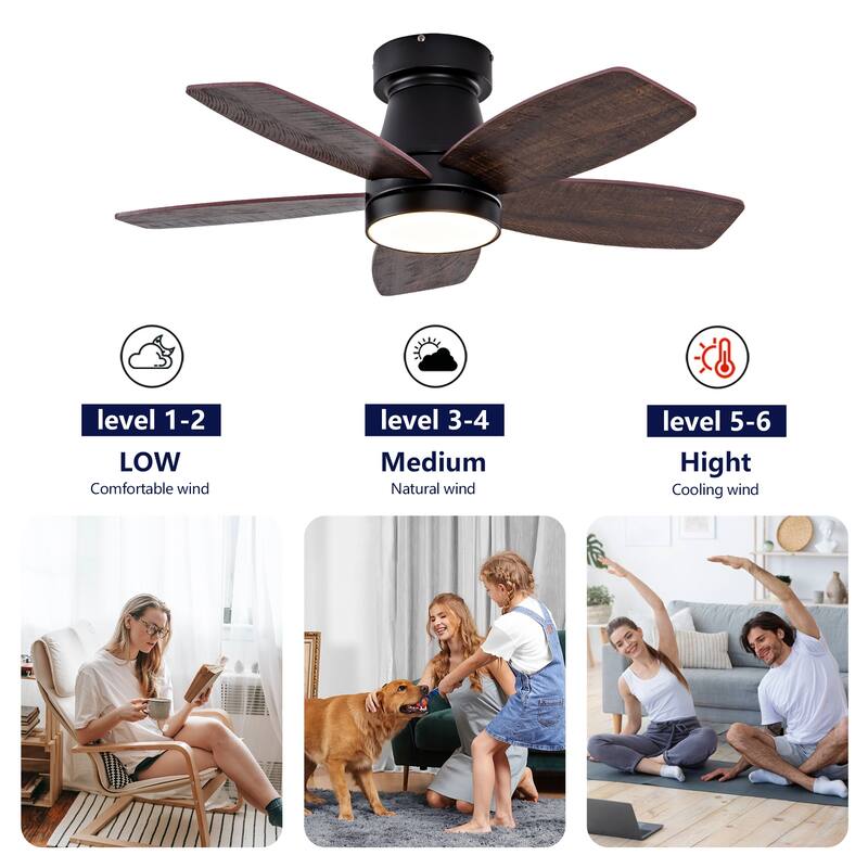 32 Inch Modern Black Ceiling Fan With Light 3 Solid Wood Blades Remote Control Reversible DC Motor With Dimmable LED