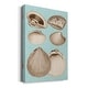 preview thumbnail 2 of 6, Sepia & Aqua Shells IX Premium Gallery Wrapped Canvas - Ready to Hang