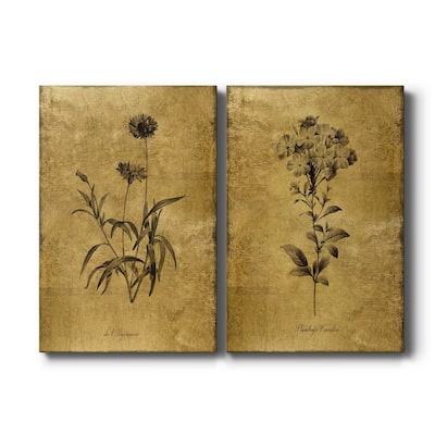 Gold Sketch Botanical I Premium Gallery Wrapped Canvas - Ready to Hang