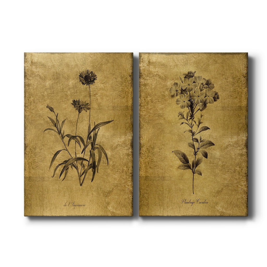 Gold Sketch Botanical I Premium Gallery Wrapped Canvas - Ready to Hang