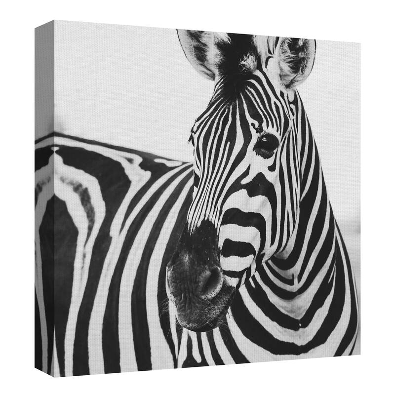 Zebra Close Up by Frida Bredesen Canvas Art Print