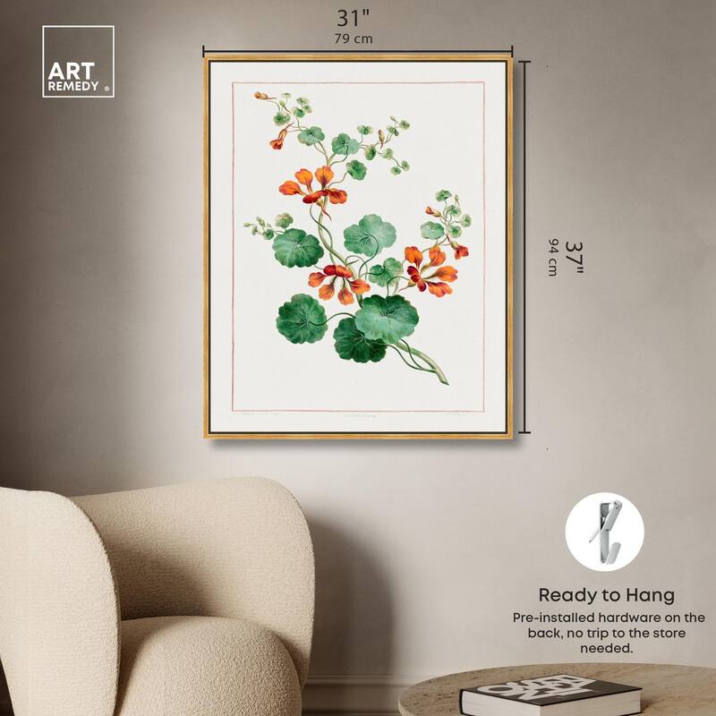 Nasturtium (1788) Canvas by Art Remedy