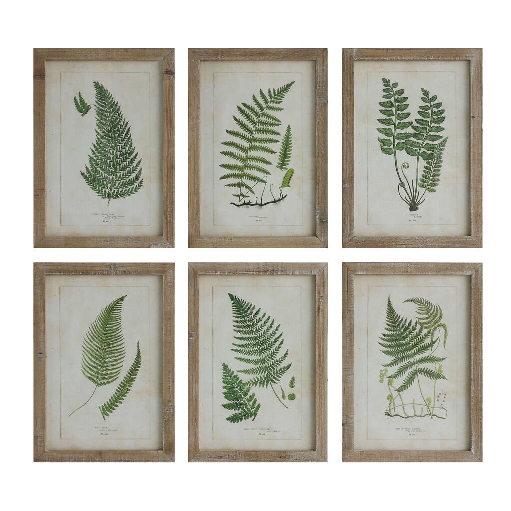 Wood Framed Wall Decor with Fern Fronds (Set of 6 Designs) - 13.75" x 19.75"