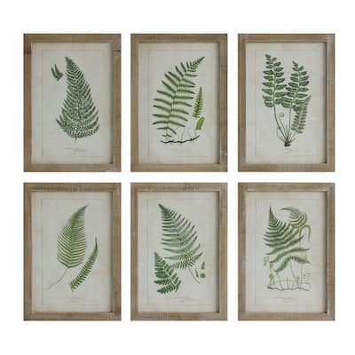 Wood Framed Wall Decor with Fern Fronds (Set of 6 Designs) - 13.75" x 19.75"