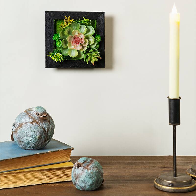 Hanging Succulent Box Wall Décor (Set of 6)