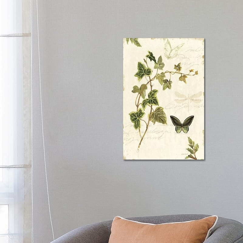iCanvas "Ivies and Ferns IV" by Lisa Audit Canvas Print - 26x18x1.5