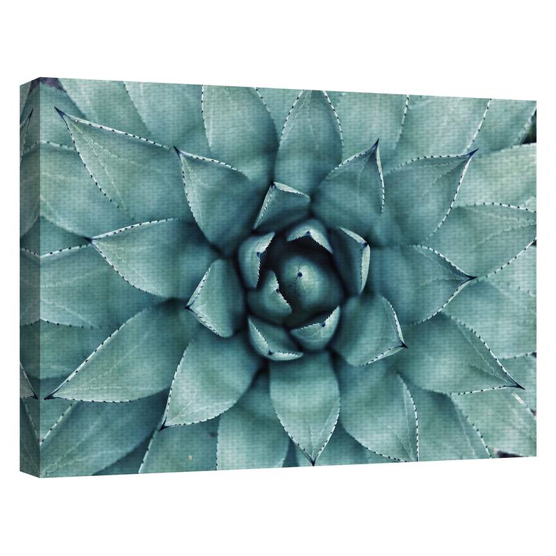 Agave Canvas Art Print