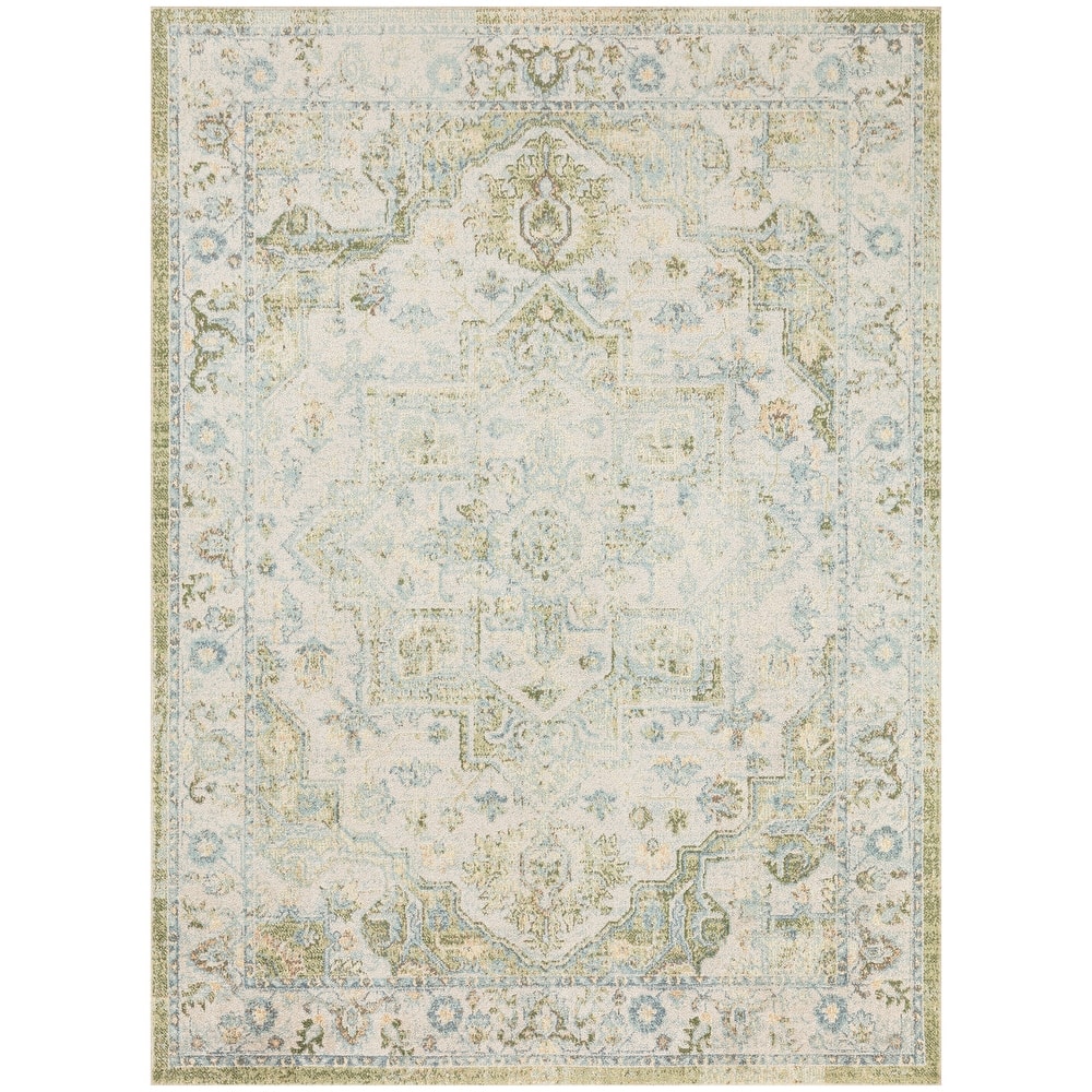 Nourison Astra Machine Washable Distressed Area Rug