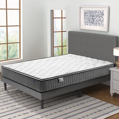 Wayna 12 Inch Medium-Firm Pillow Top Hybrid Mattress in a Box