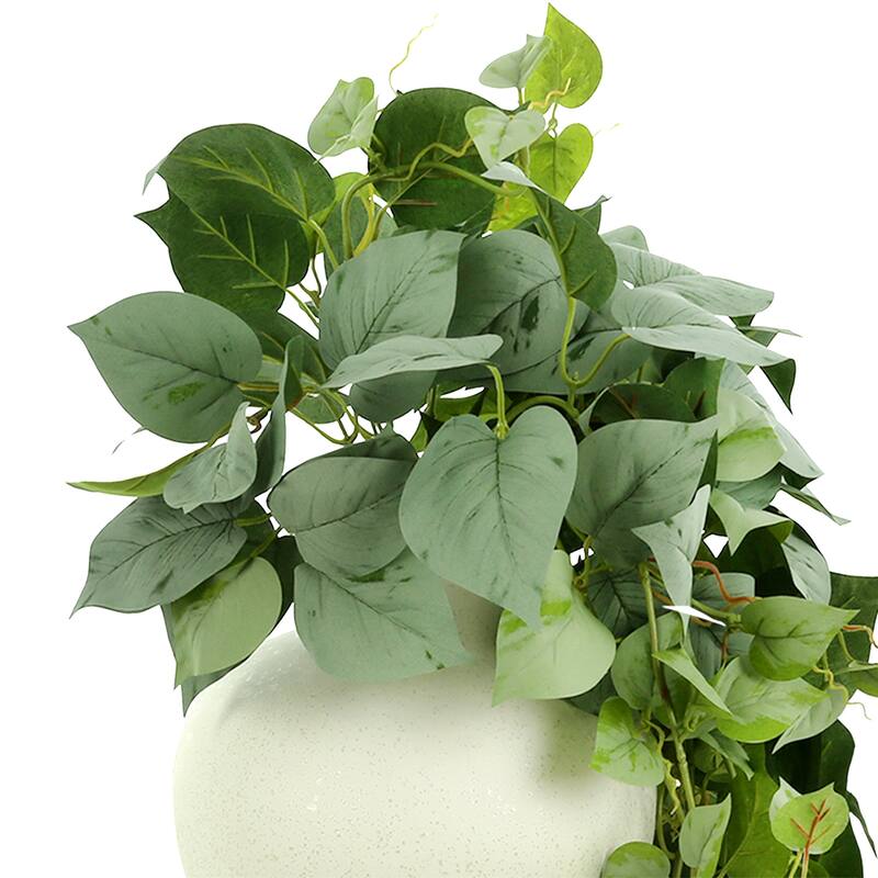 Ivy Arranged in Round Ceramic Vase - Green