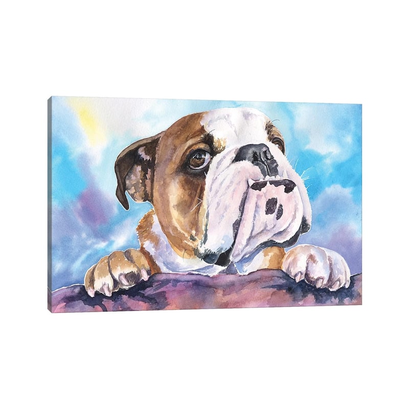 iCanvas "English Bulldog V" by George Dyachenko Canvas Print