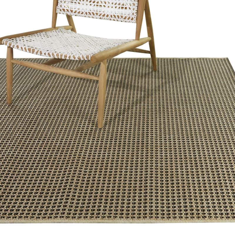 Leocadia Solid Flatweave Indoor/Outdoor Area Rug - 7'10" x 10' - Brown/Black