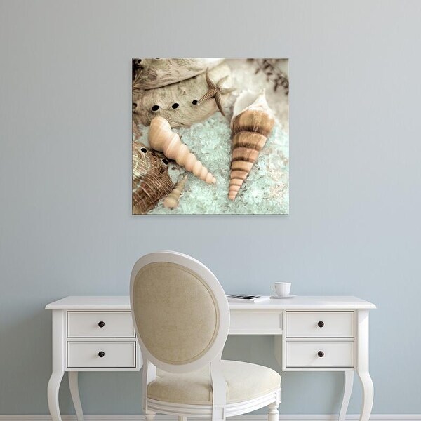 Easy Art Prints Alan Blaustein's 'Lagoon Tidepool #1' Premium Canvas Art