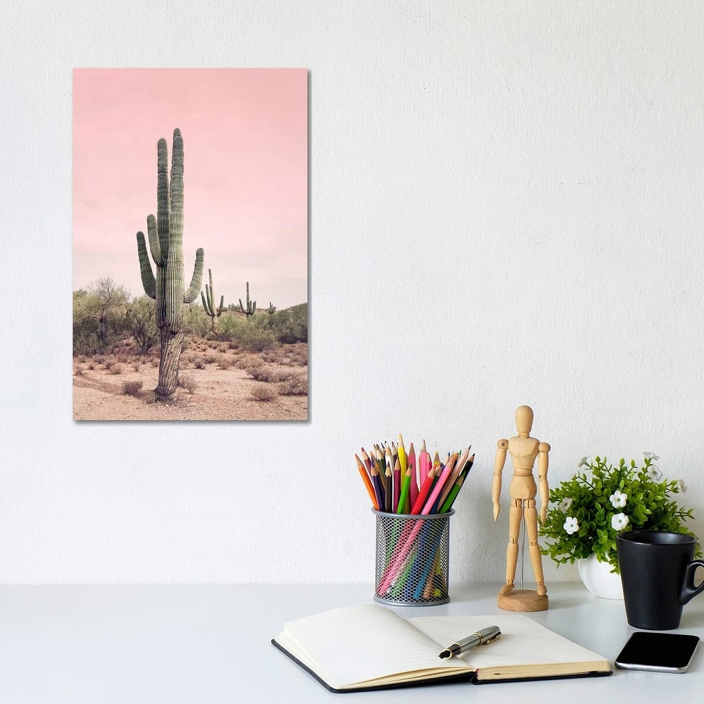 iCanvas "Desert Cactus Blush" by Sisi & Seb Canvas Print