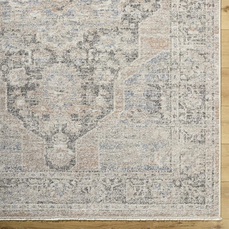 Galey Alix x Livabliss Maria Elena IV Vintage Medallion Area Rug