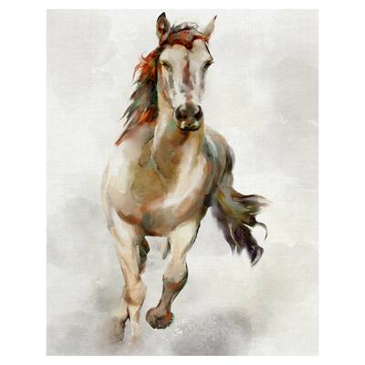 Spirit by Studio Arts Canvas Art Print