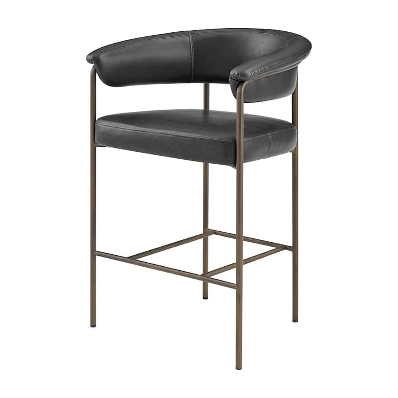 NPD Furniture Kaiden Faux Leather Counter Stool (Set of 2)